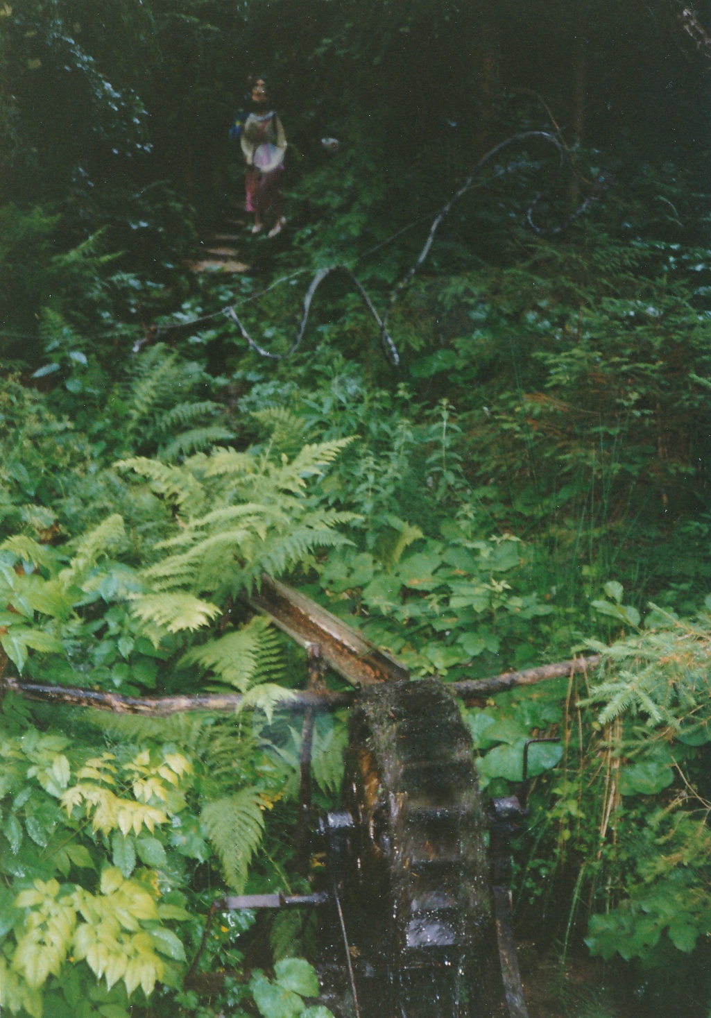 eika image